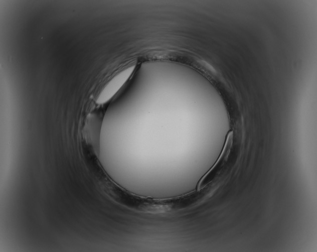 X0000084550217200703231743