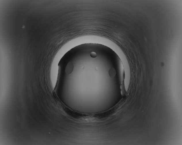 X0000084550219200703231743