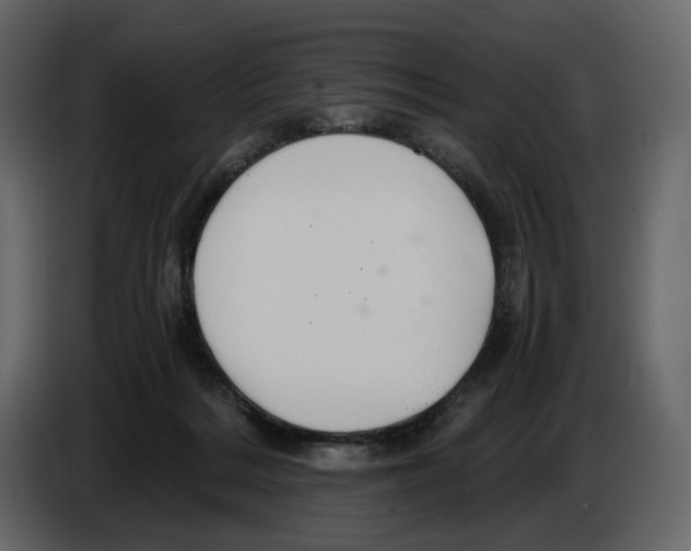 X0000084550220200703231743