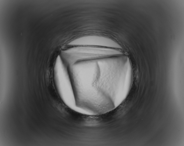 X0000084550222200703231743