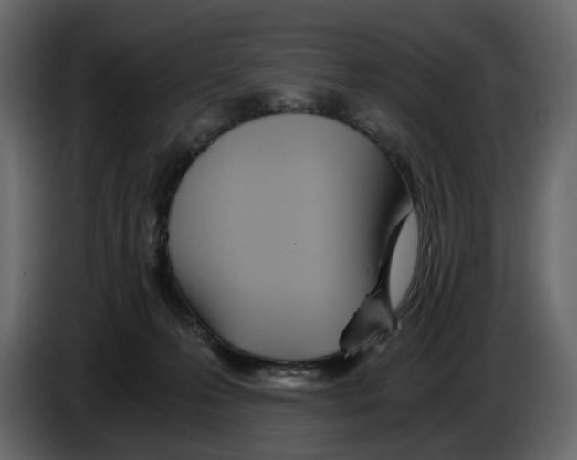 X0000084550223200703231743