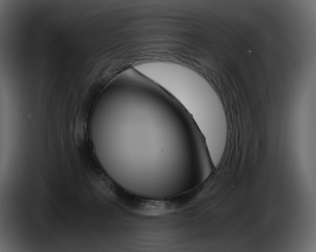 X0000084550227200703231743