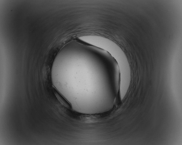 X0000084550229200703231743