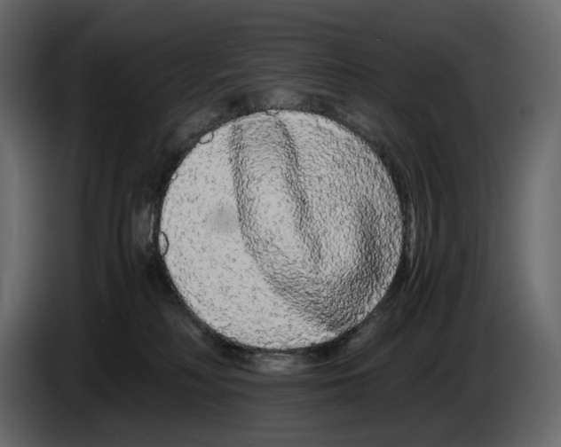 X0000084550230200703231743