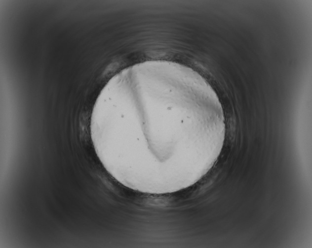 X0000084550234200703231743