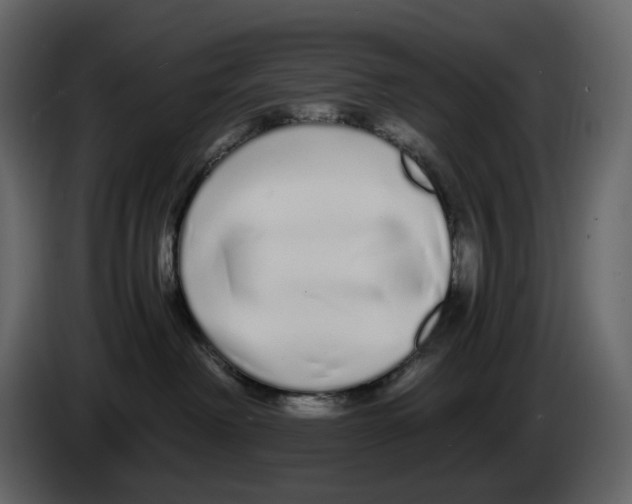 X0000084550238200703231743