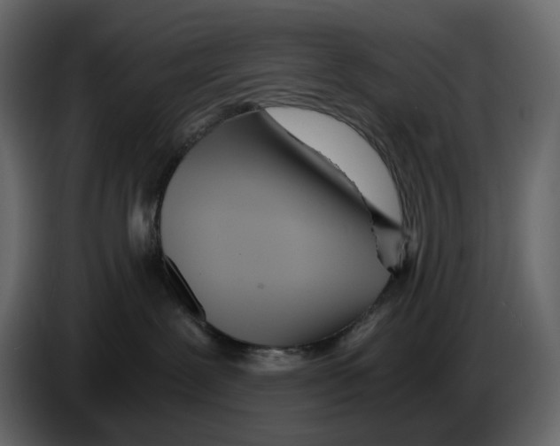 X0000084550239200703231743