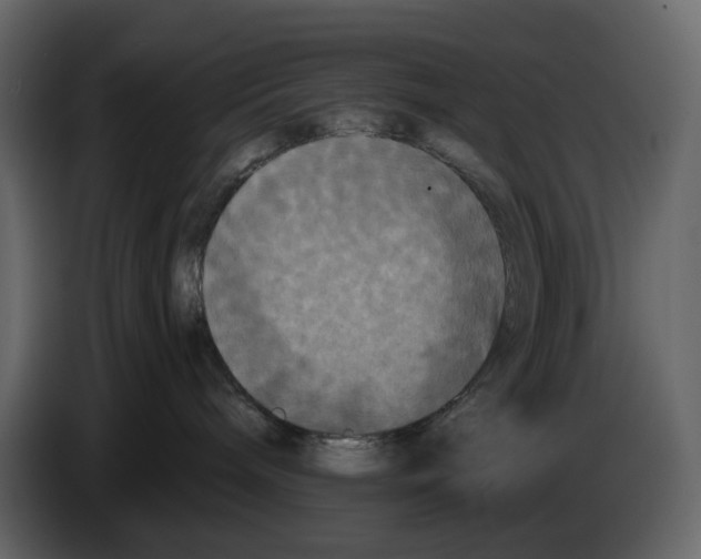 X0000084550240200703231743