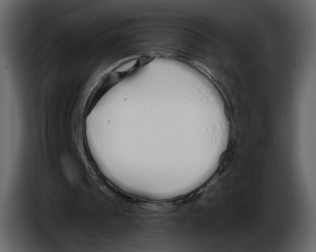 X0000084550241200703231742