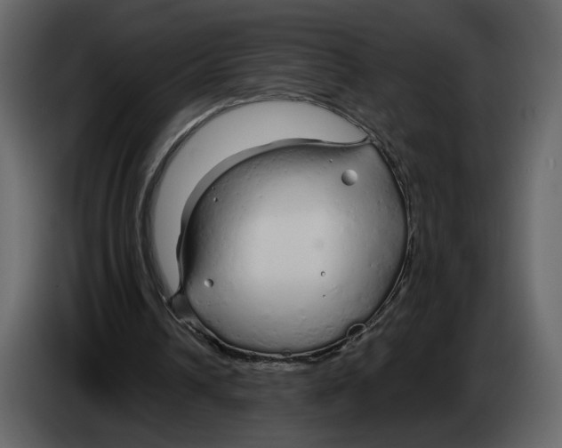 X0000084550242200703231742