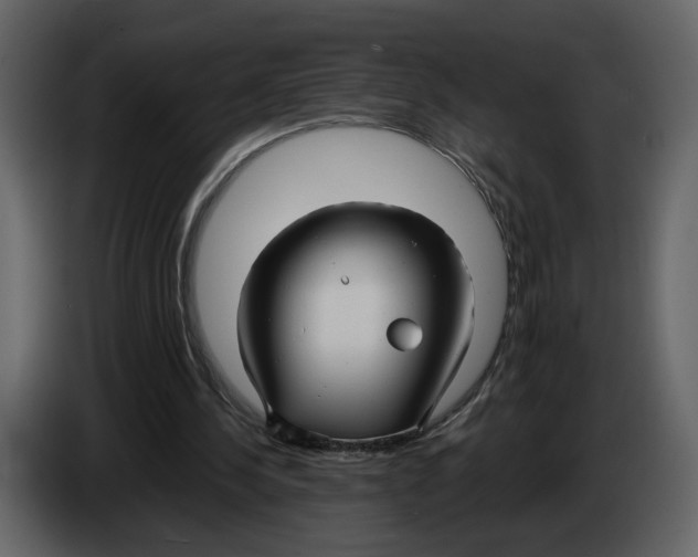 X0000084550244200703231742