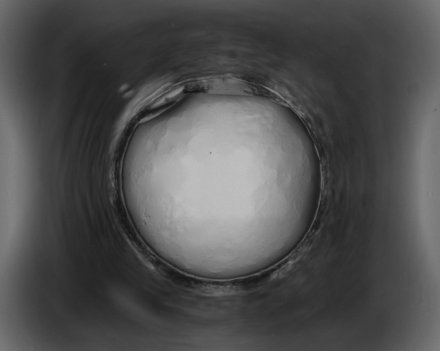 X0000084550245200703231742