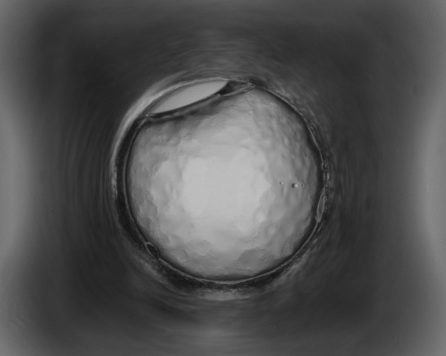 X0000084550246200703231742