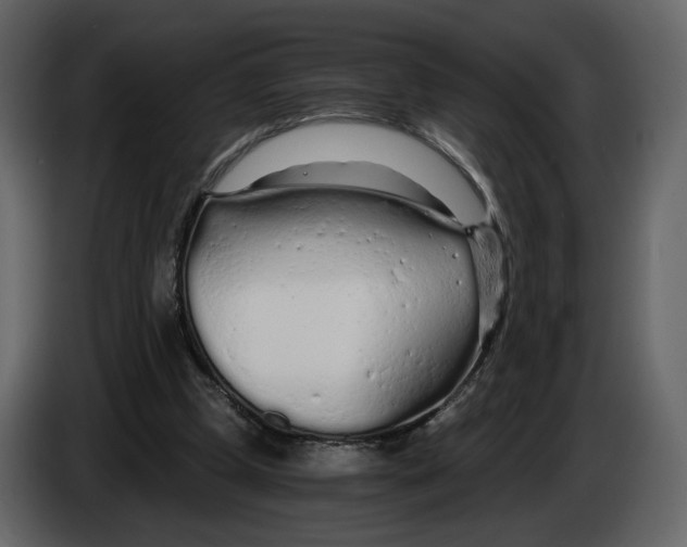 X0000084550249200703231742