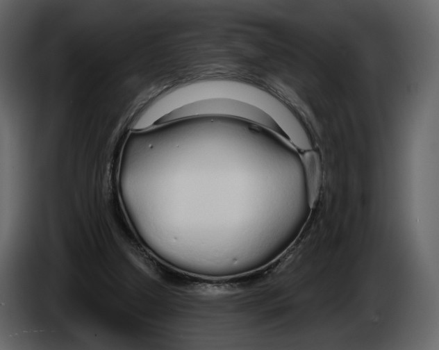 X0000084550250200703231742