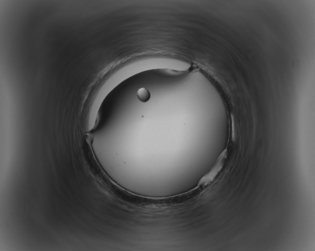 X0000084550252200703231742