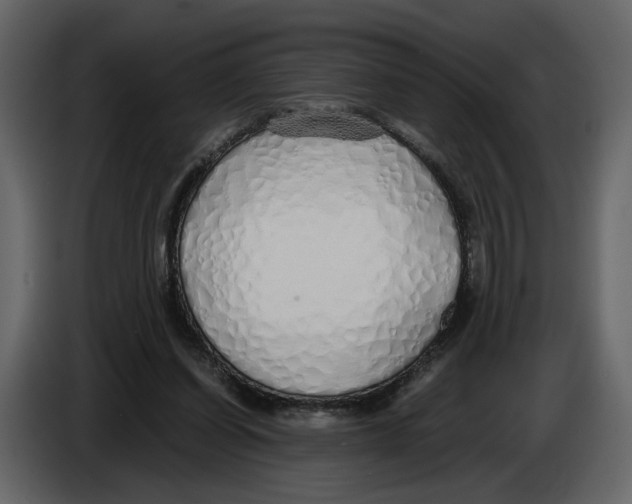 X0000084550254200703231743