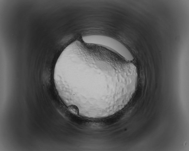 X0000084550255200703231743