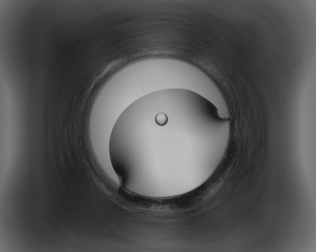 X0000084550256200703231743