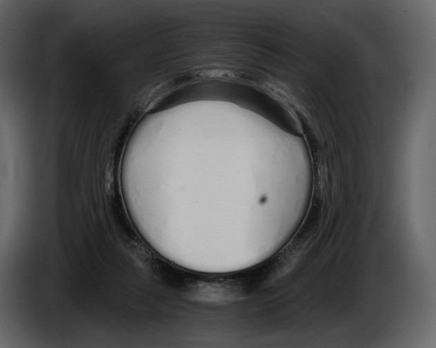 X0000084550259200703231743