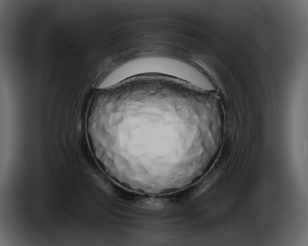 X0000084550261200703231743