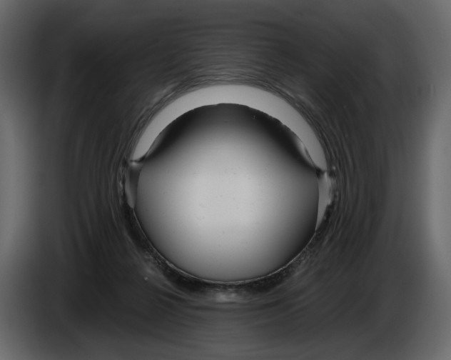 X0000084550264200703231743