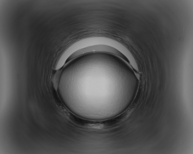 X0000084550266200703231743