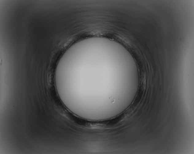 X0000084550268200703231743