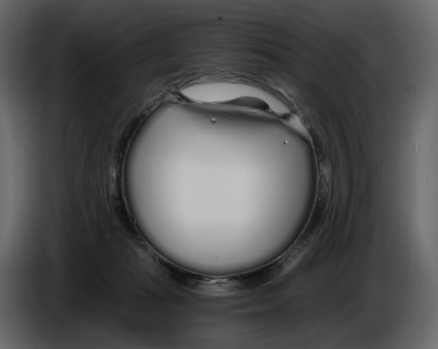 X0000084550269200703231743