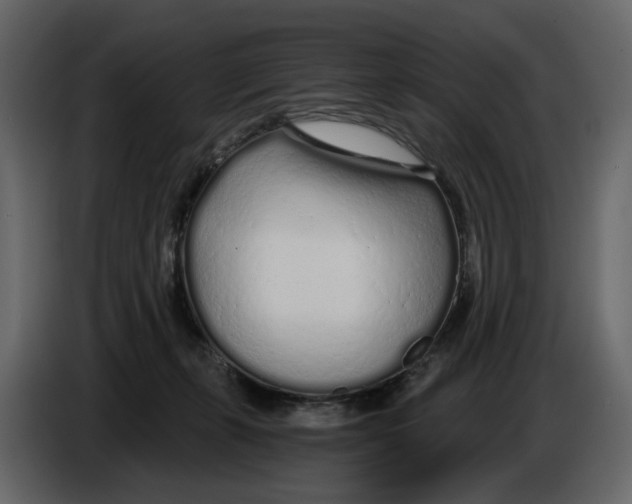 X0000084550271200703231743