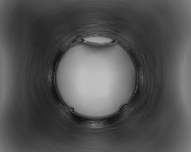 X0000084550275200703231743