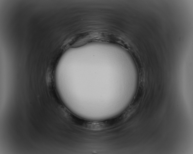 X0000084550277200703231743