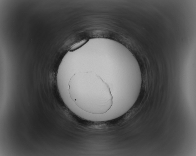 X0000084550278200703231743