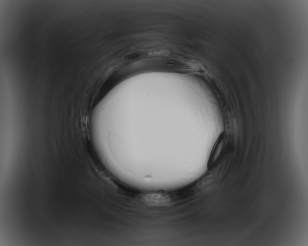 X0000084550281200703231743