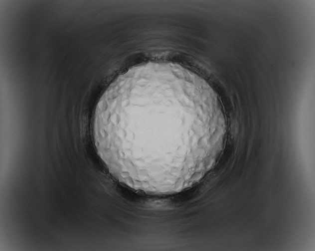 X0000084550283200703231743