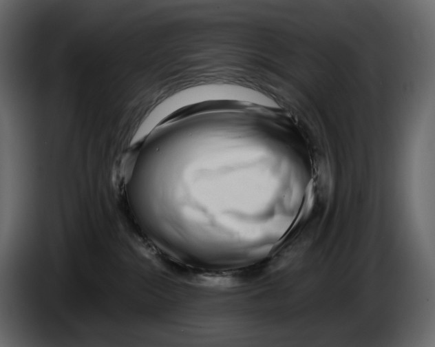 X0000084550284200703231743