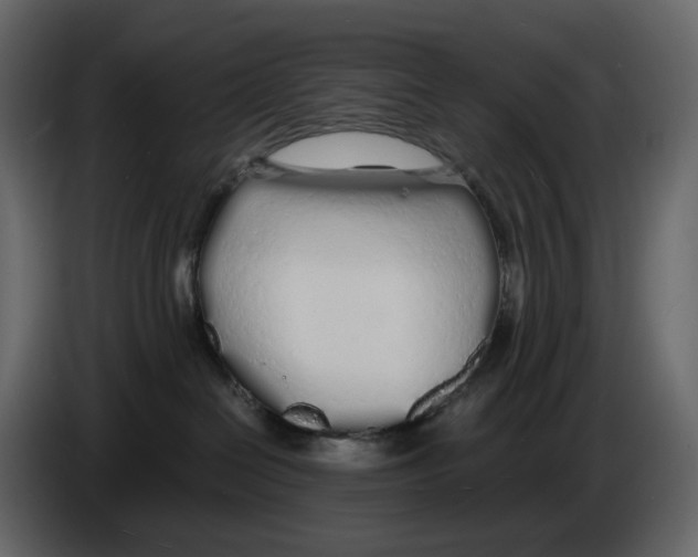 X0000084550286200703231743