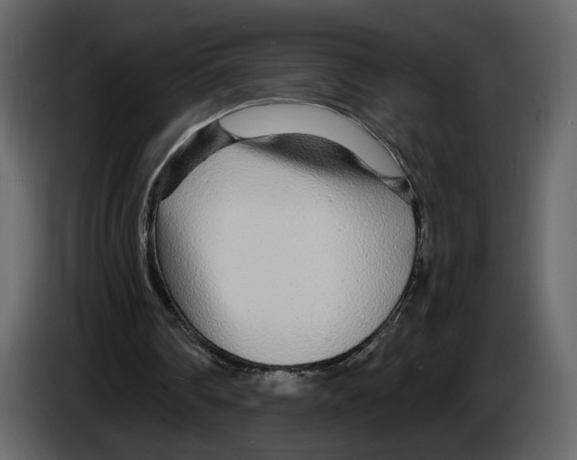 X0000084550290200703231742