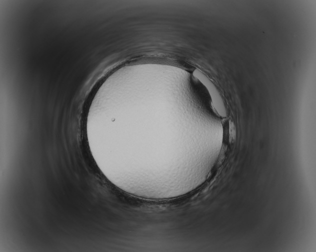 X0000084550291200703231742