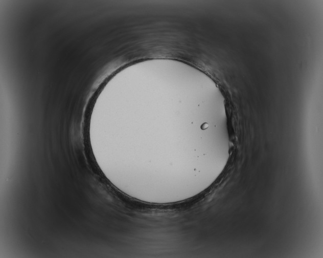 X0000084550292200703231742