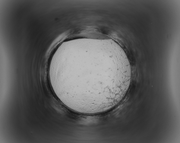 X0000084550293200703231742