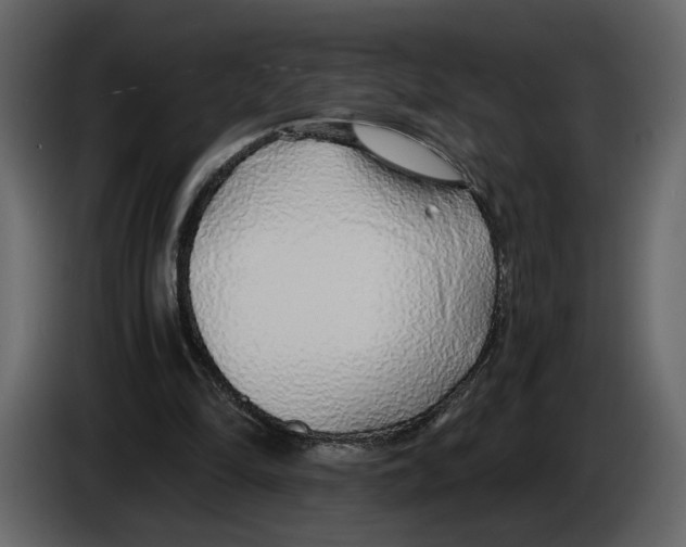 X0000084550294200703231742