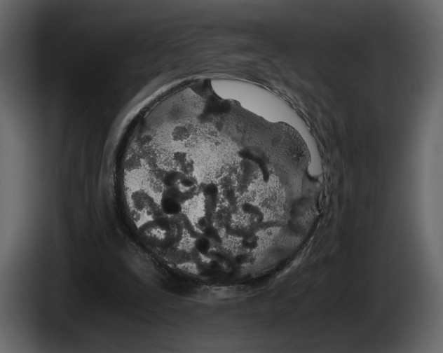 X0000084550295200703231742