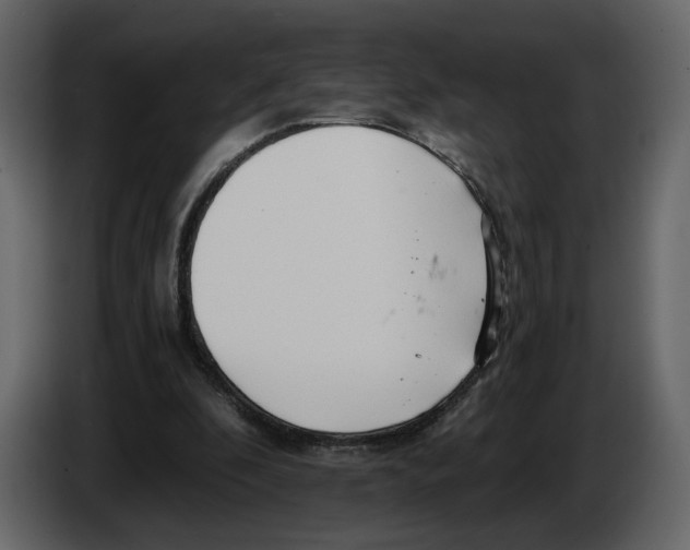 X0000084550296200703231742