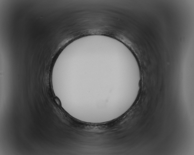 X0000084550297200703231742