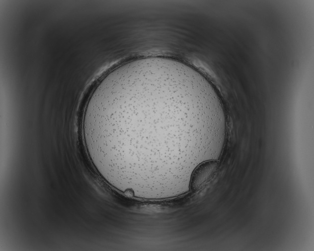 X0000084550298200703231742