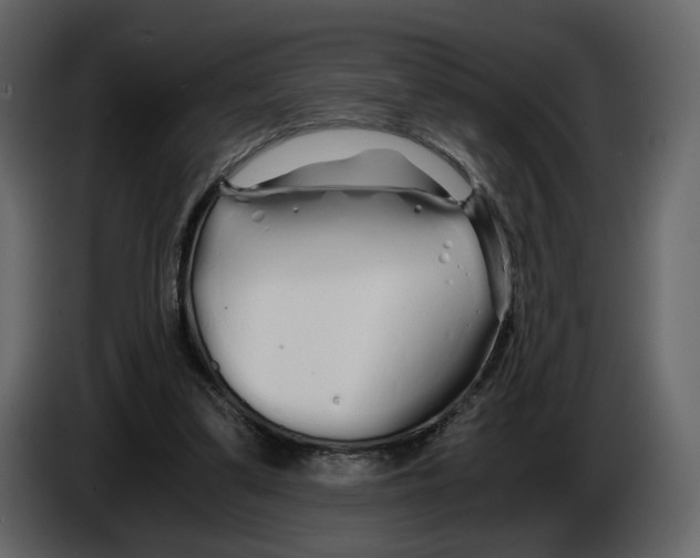 X0000084550299200703231742