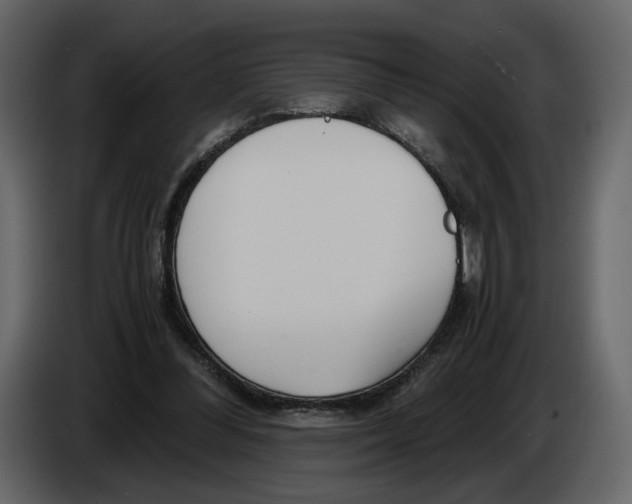 X0000084550300200703231742