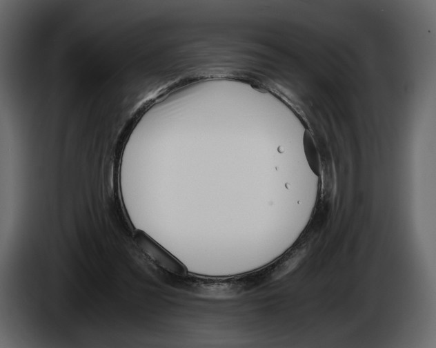 X0000084550301200703231742