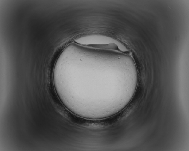 X0000084550303200703231742